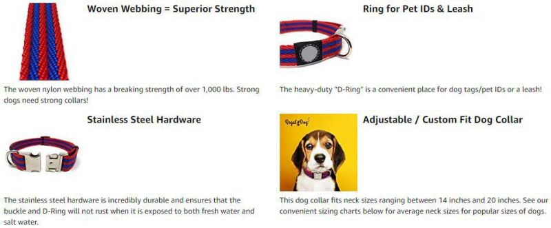 Blue Stripped Pet Collar with Metal Buckle