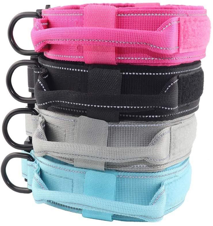 1000d Durable Dog Collar with Sturdy Hardware Accessory