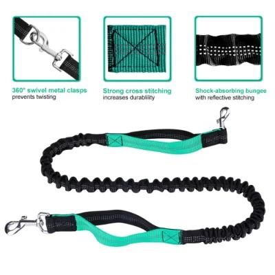 Dual-Handle Reflective Bungee Dog Leash