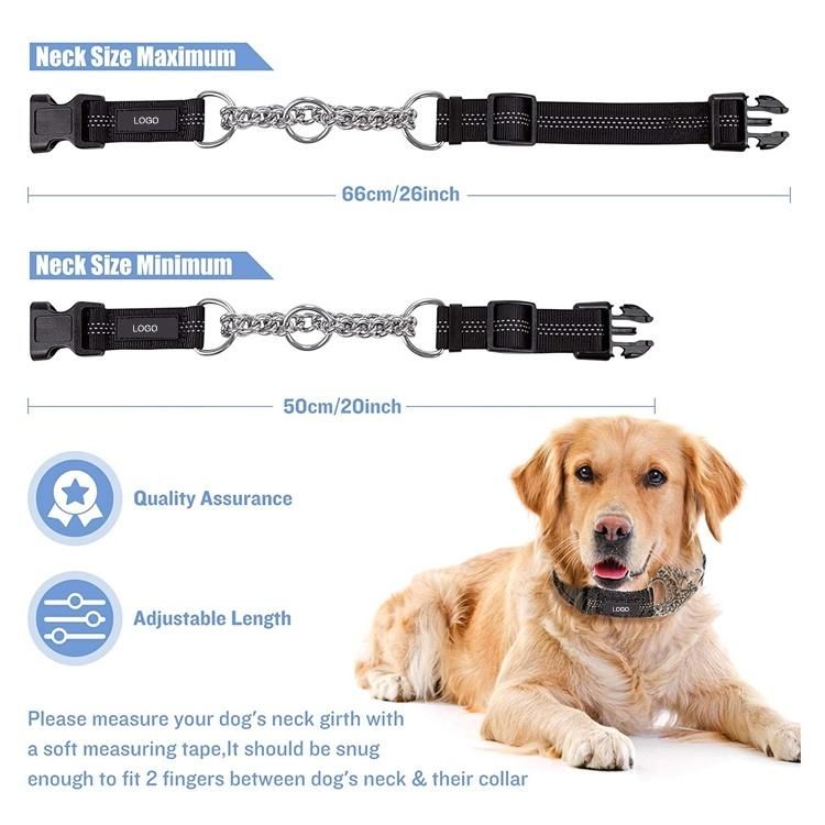 Dual Handle Nylon Reflective Bungee Hands Free Dog Leash