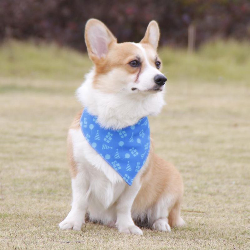 Wholesale Fashion Durable Adjustable Cute Pet Bandana