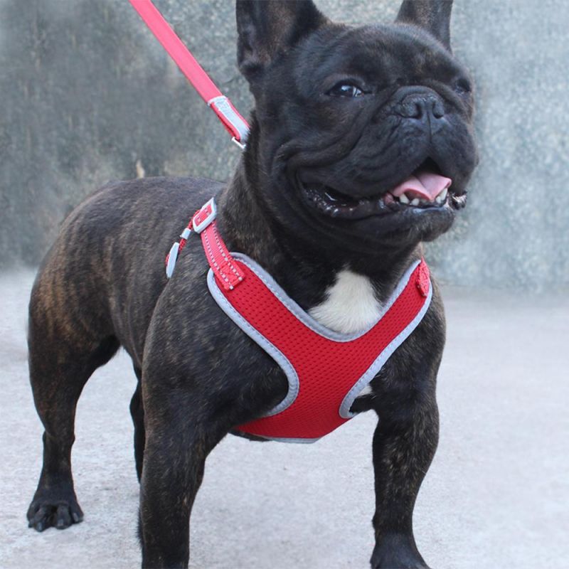 Adjustable Dog Vest Harnesses Leash Dog Large Dogs Harnesses Pet Product