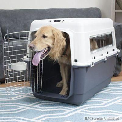 Plastic Dog Cage for Travel Approved Iata