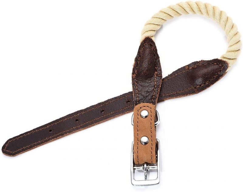 Premium Cotton Rope Dog Collar with Sturdy Metal Accessory