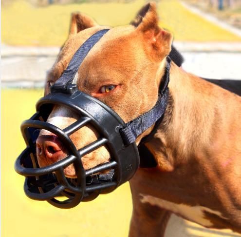 Dog Muzzles Pet Soft Barking Silicone Mouth Mask Anti Bark Bite Muzzle for Pitbull Shepherd Small Puppy Retriever Products