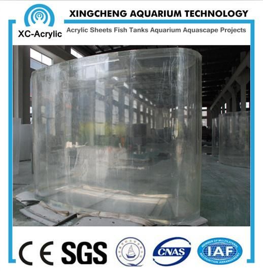 Customize UV Acrylic Fish Tank for Sea Fish Oceanarium