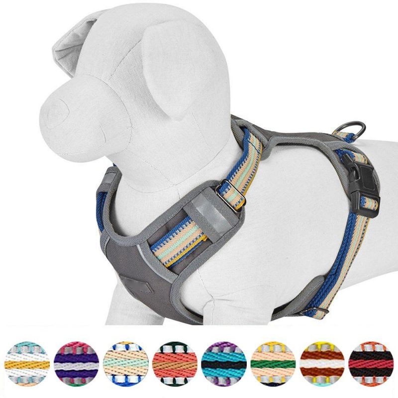 Safe & Comfy 3m Reflective Multi-Colored Stripe Collection - Collars, Harnesses, Leashes
