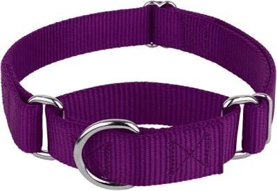 Fashion Durable Nylon Dog Collar with Heavy Duty Pet Collar