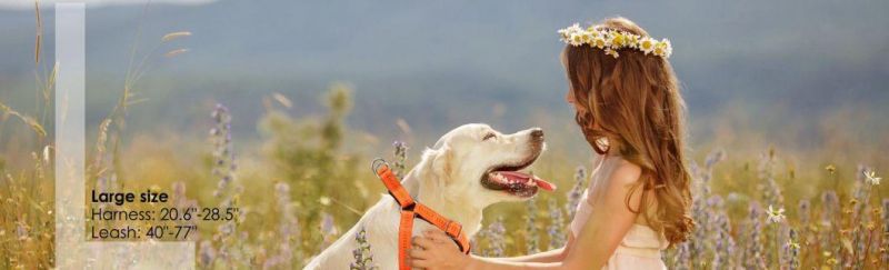 Dog Harness & Leash Set Nylon Leash for Walking Jogging and Training