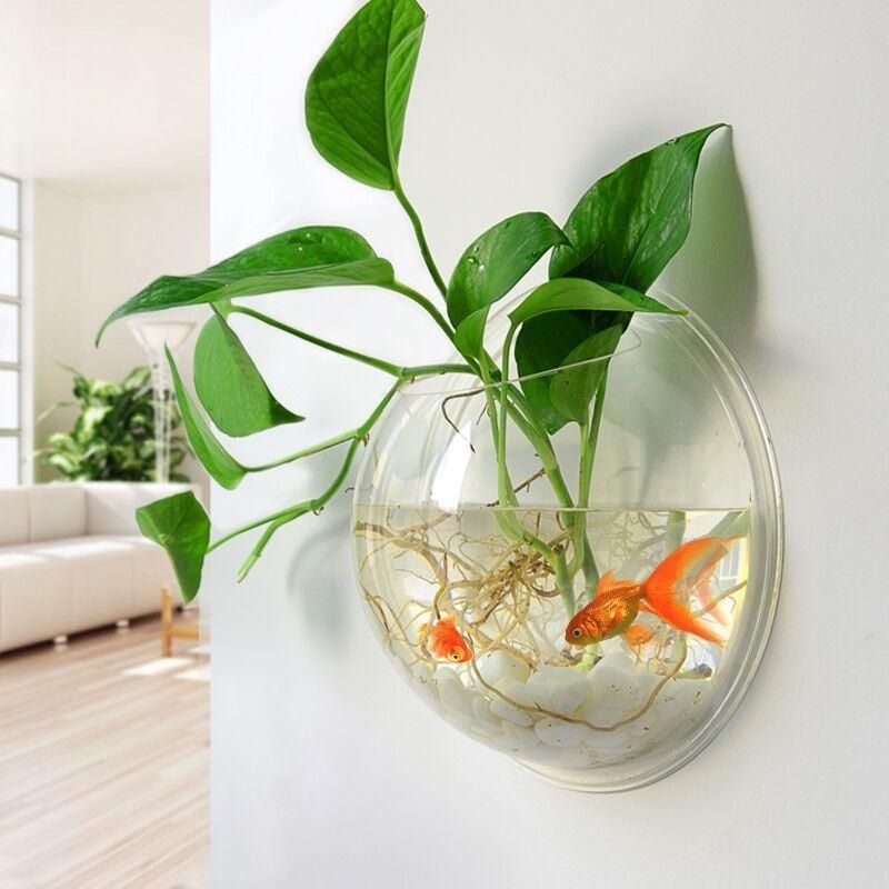 The Latest Design Acrylic Fish Tank Can Be Hung