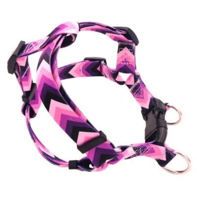Soft Pet Harness Charming Purple Dog Harness with Matching Pet Leash