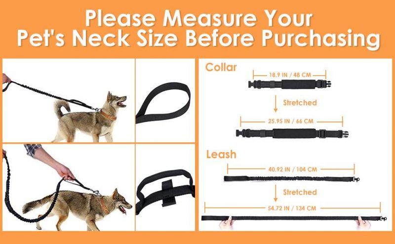 Adjustable Military Training Nylon Collar and Hands Free Heavy Duty Bungee Lead