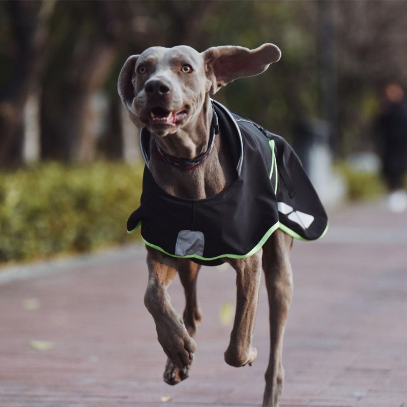 Waterproof PU Wholesale Pet Apparel Clothes Dog Fleece Coat Pet Product Three Colors