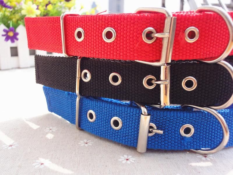 Manufacturer Wholesale Multi-Colors Printed Adjustable Nylon Cat Dog Collar