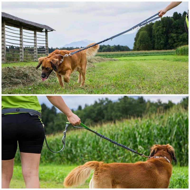 Hands Free Dog Leash for Running, Comfortable Waist Belt & Adjustable Length!