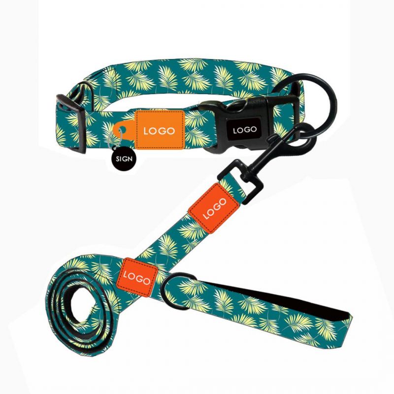 Multifunctional Dog Leash Collar