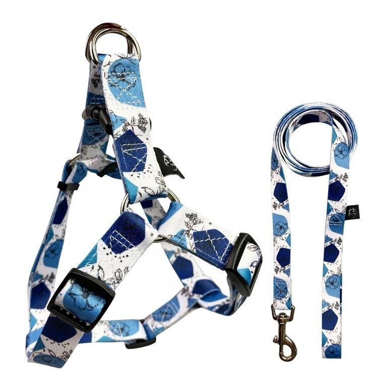 Personalized Pet Dog Leash Harness Set for Pet Animal Daily Walking
