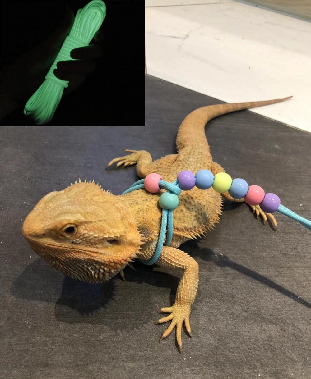 New Design Adjustable Reptile Lizard Gecko Bearded Dragon Pet Walking Harness Leash Rope Small Pet Animal Harness Lizard Leash