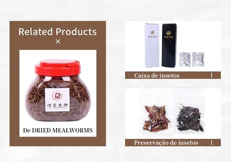 China Factory Natural Feed Food Cat Snacks Dogs Animal Dried Mealworms