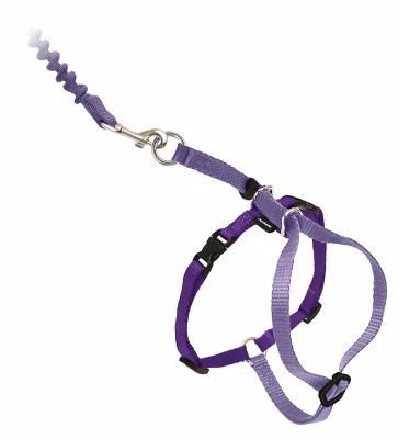 Kitty Harness and Bungee Leash, Harness for Cat