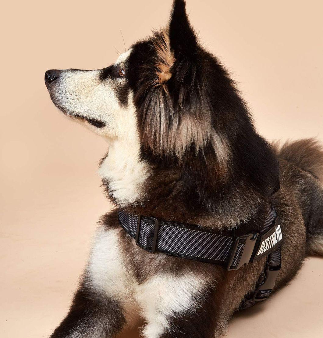 Lightweight Full Adjustable Summer Dog Vest Harness for Small Medium Dogs