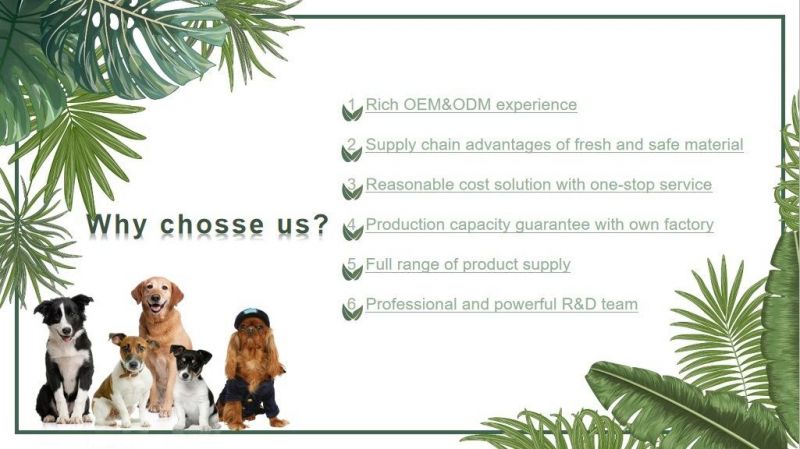 Top Brand OEM/ODM Manufacturer Pet Canned Food 85g/170g/375g/400g