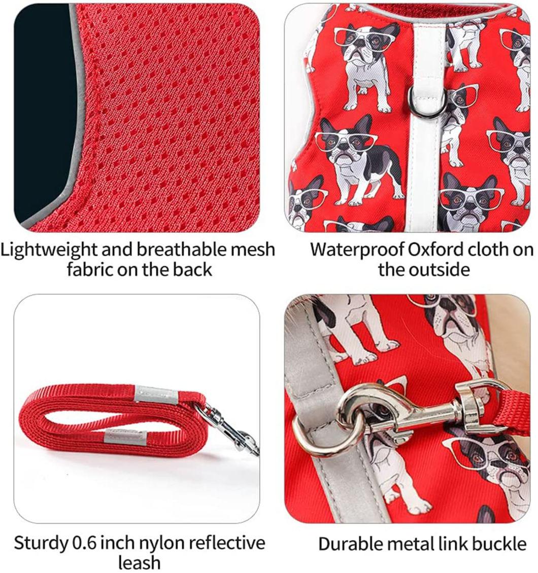 Cool Dog Pattern Cat Harness and Pet Leash with Reflective Strap