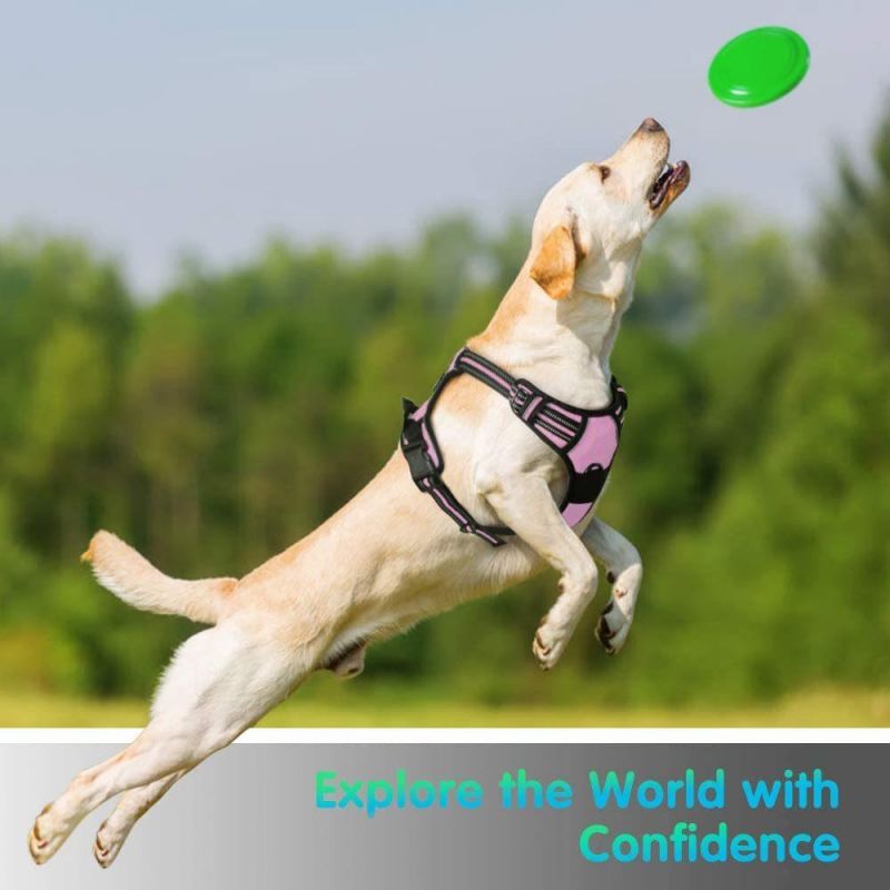 Easy to Wear & Adjust Reflective Dog Harness