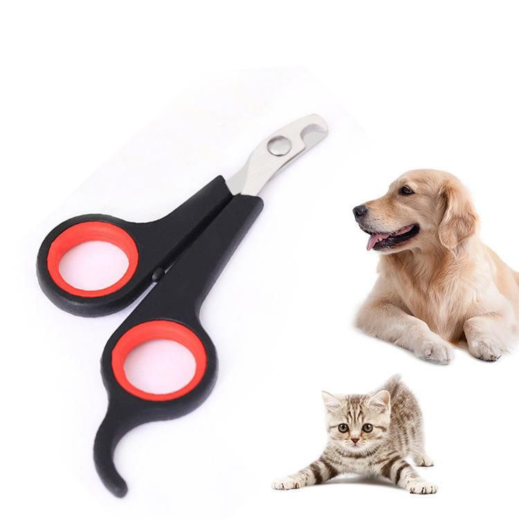 Pet Nail Scissors Stainless Steel + PP