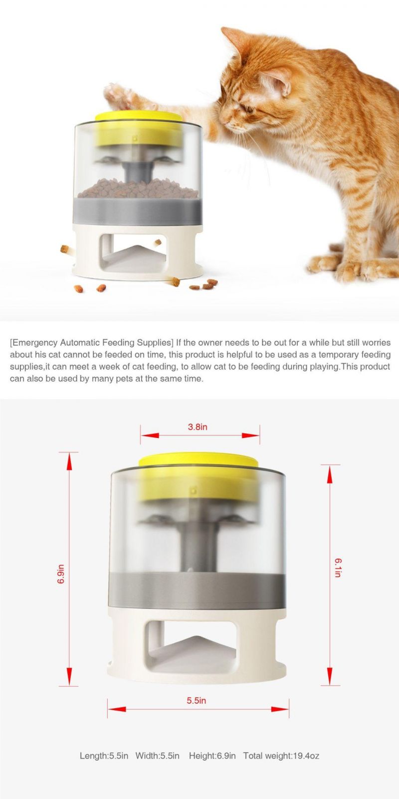 The Dog Interactive Puzzle Toy Button Touches The Slow Feeder