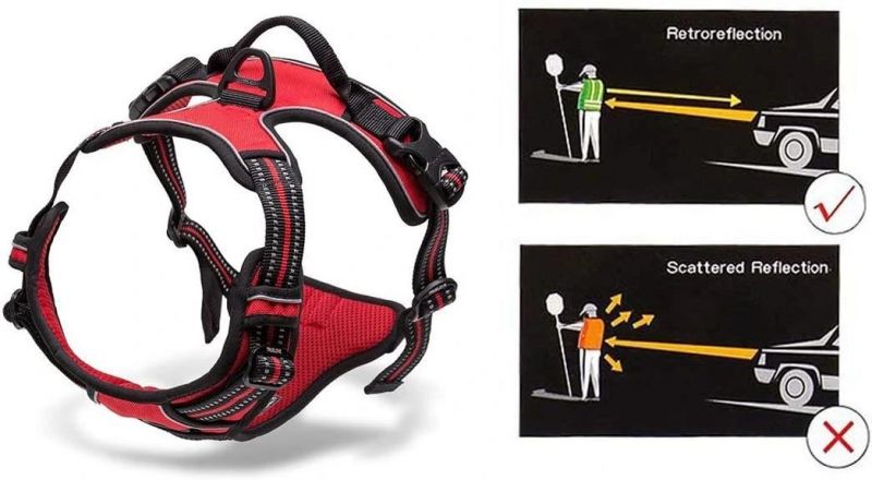 Soft Sponge Padding Pet Dog Harness with Small MOQ