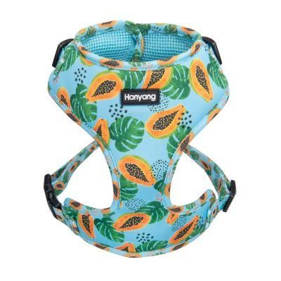 2021newest Popular Dog Harness Reversible Dog Vest Harness, Eco-Friendly No Pull Dog Vest Harness for Puppies Dogs (Two Sides)