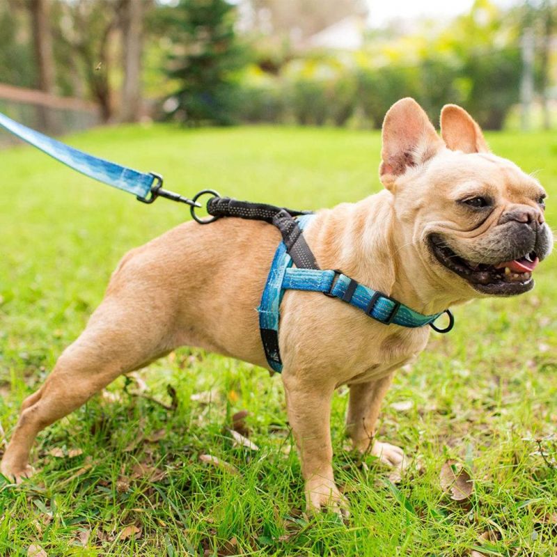 Dog Harness with Bungee Handle and Rear and Front Clip Attachment