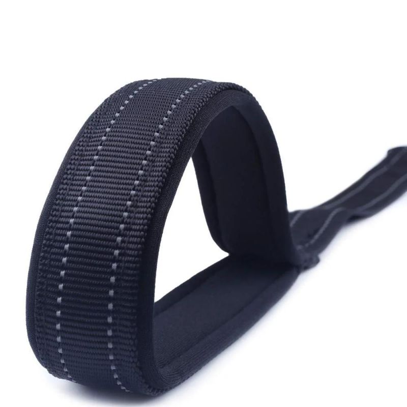 Hot Selling Custom Logo Color Neoprene Padded Short Reflective Nylon Dog Leash for Dog Pet Walking Training