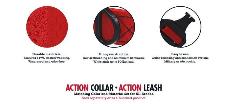 Tear Proof & Odor Free Rust-Proof Quick Release Buckle Dog Collar