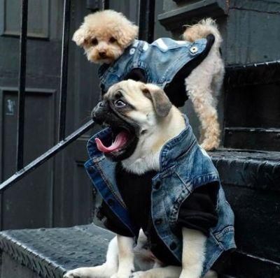 New Design Hot Sale Dog Jeans Rompers Jeans Pants with Strap Pet Cowboy Vest Dog Clothes