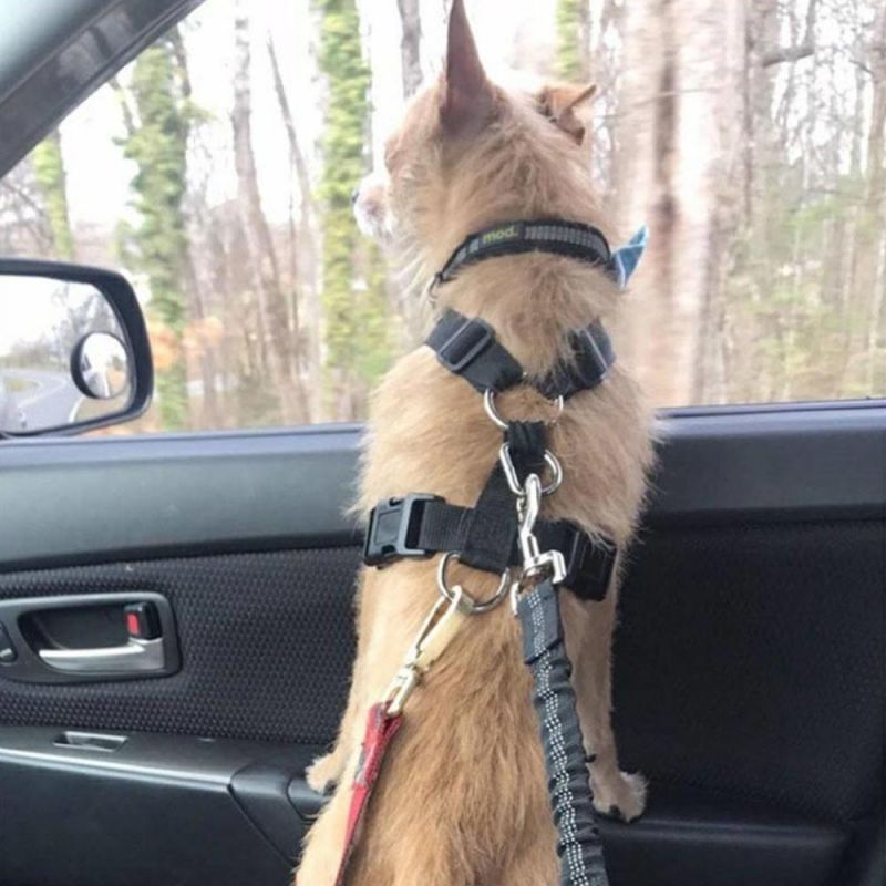 Pet Supplies Car Seat Belt Dog Seat Belt Dog Leash Vehicle Belt Adjustable Cushioning Elastic Reflective Safety Rope for Dog Cat