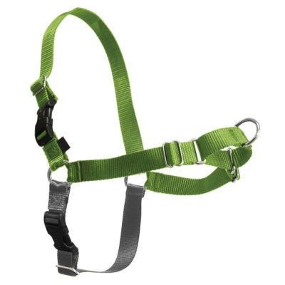Training Dog Harness of Dual Color Straps Two Quick-Snap Buckles Easy on&off