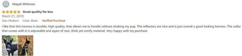 Reflective Oxford Outdoor Vest Front/Back No-Pull Pet Harnesses Dog Training Harness