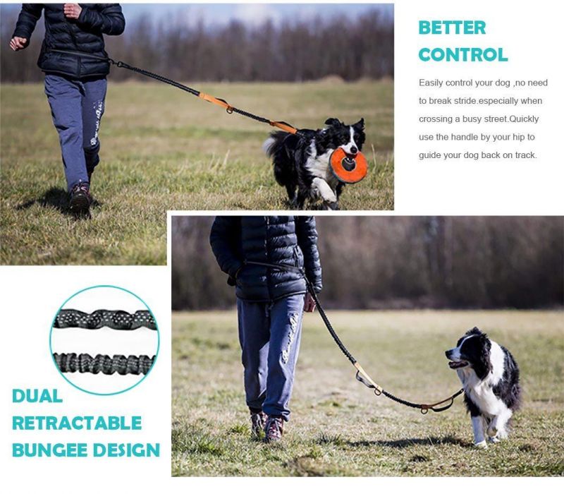 Pet Supply High Quality Retractable Dog Pet Collar Leash Reflective Pet Dog Running Leash