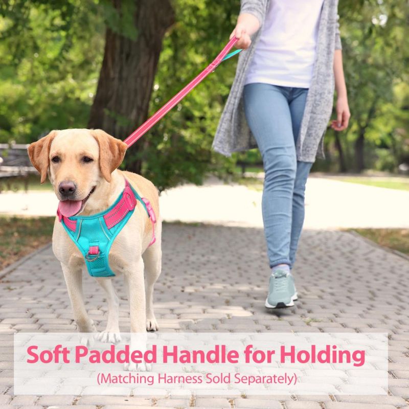 Double-Sided Reflective Dog Leash Padded Handle Nylon Dogs Leashes for Walking, Training Lead for Large, Medium & Small Dogs