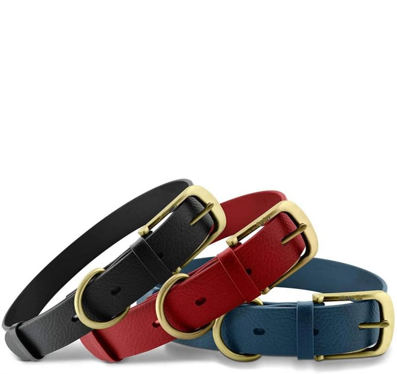 Tough Rust-Proof All Metal Hardware Waterproof Dog Collar