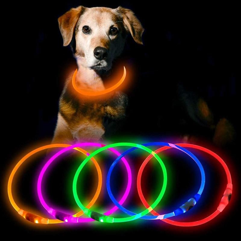 Designer LED Dog Collar USB Rechargeable