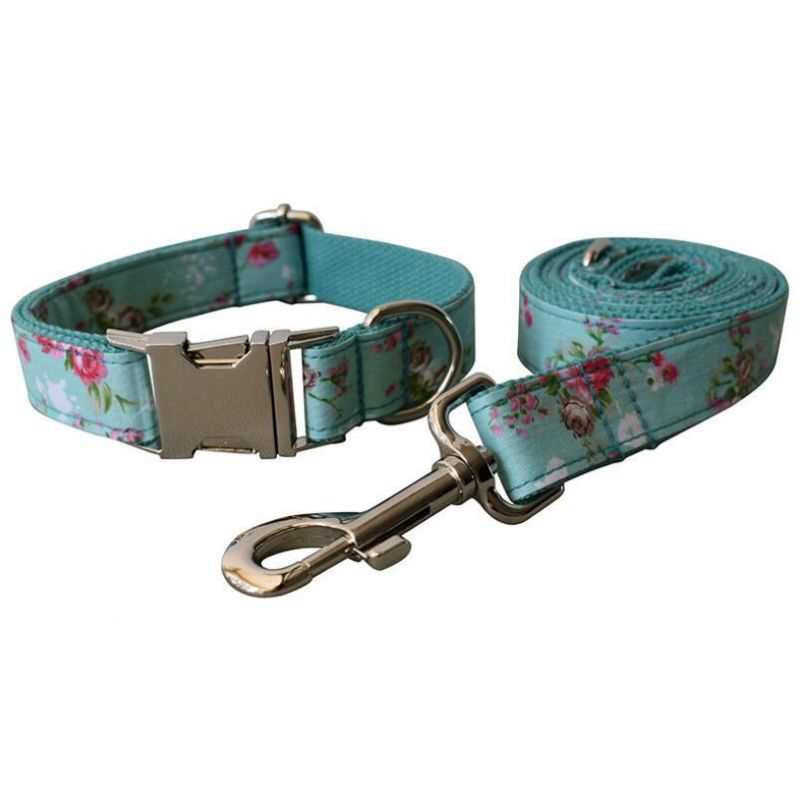 Fast Delivery Custom Rose Dog Collar Leash with Small MOQ