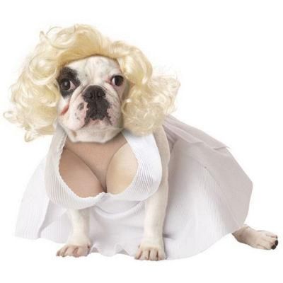 Hot Sale Wacky Design Cosplay Dog Dress Pet Clothes Cute Design