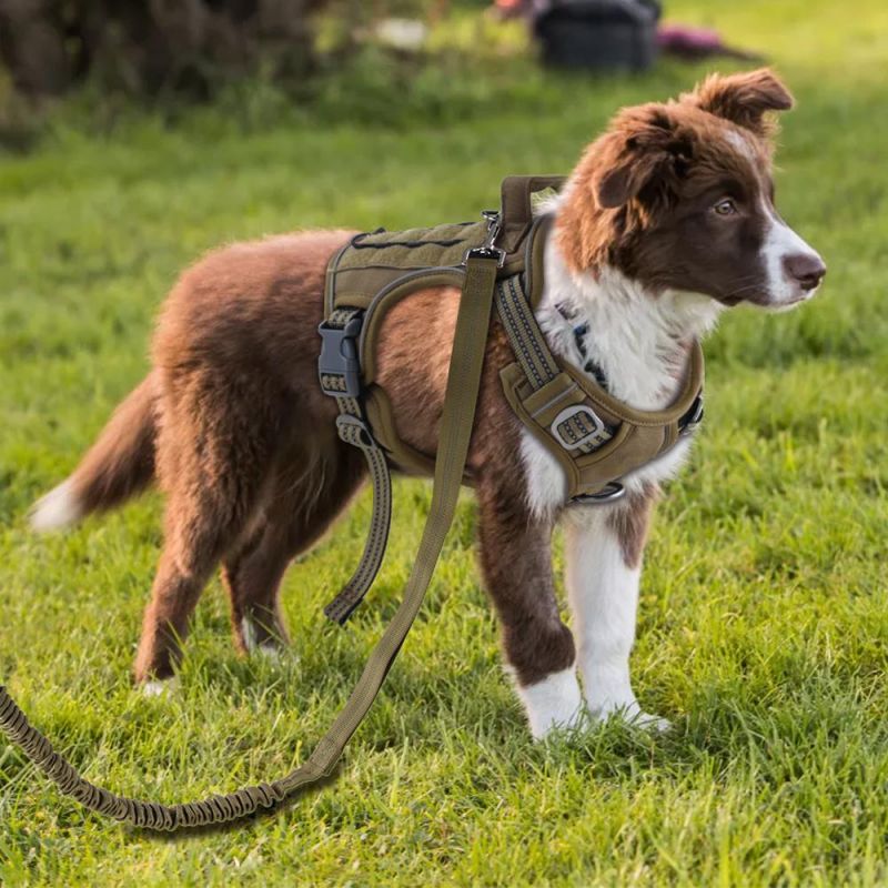 Adjustable Dog Harness Tactical Dog Saddle Bag Camping Hiking Backpack Harness Dog Harness Tactical Training