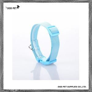Baby Blue Adjustable Dog Collar