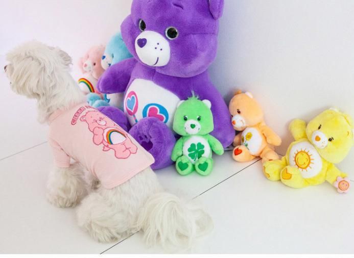 Newest Candy Color Lovely Bear T-Shirt Dog Vest Cloth for Small Medium Large Dogs Clothes