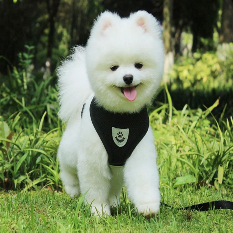 Mesh Pet Harness with Leash Set No Choke Design Ventilation