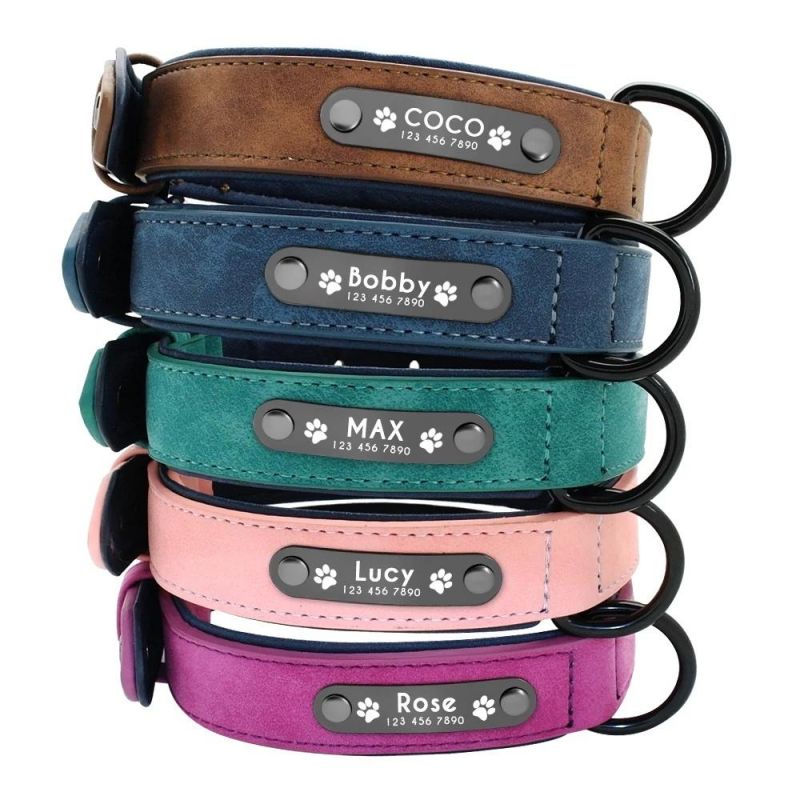 Safety High Material New Design Wholesale Pet Collar